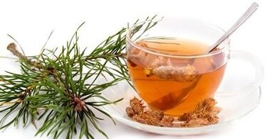 tincture of pine buds for osteochondrosis of the cervix