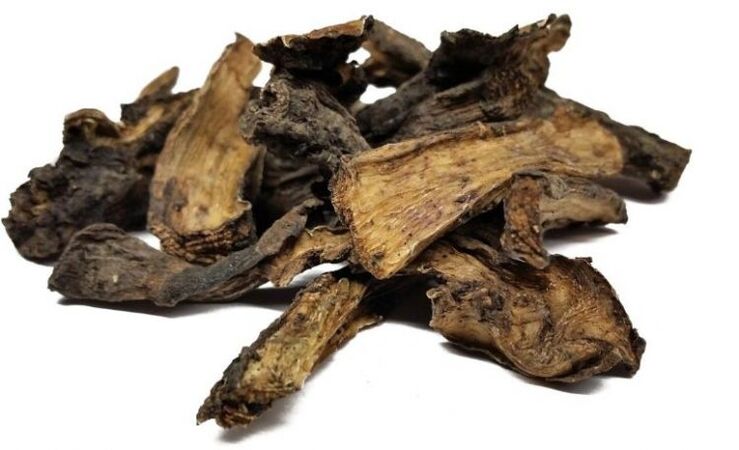 Larkspur root in the treatment of cervical osteochondrosis