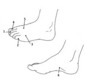Point on foot for headaches
