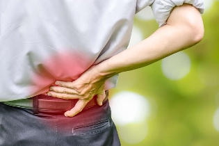 the causes of back pain
